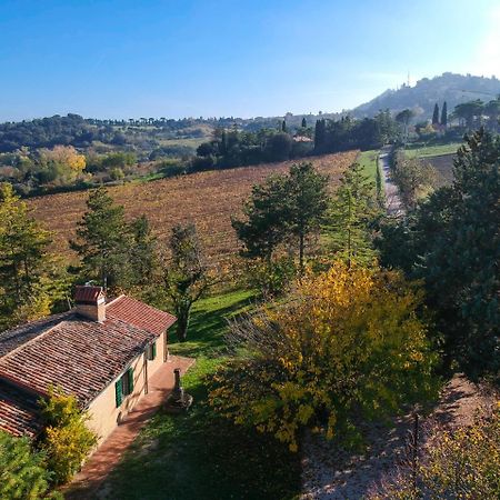 Il Vigneto Cottage ベルティノーロ エクステリア 写真