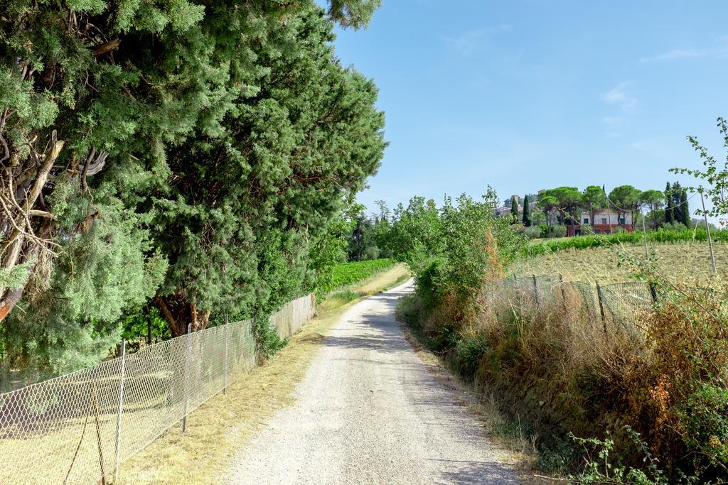 Il Vigneto Cottage ベルティノーロ エクステリア 写真